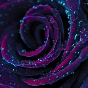 Meet your Posher, Jami